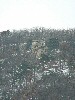 n_dscf0155.jpg