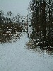 n_dscf0161.jpg