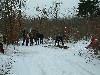 n_dscf0163.jpg