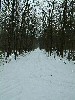 n_dscf0164.jpg