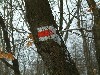 n_dscf0165.jpg