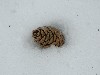 n_dscf0166.jpg