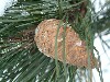 n_dscf0168.jpg
