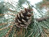 n_dscf0169.jpg