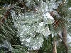 n_dscf0170.jpg