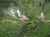 n_dscf0172.jpg