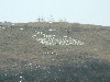 n_dscf0176.jpg