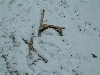 n_dscf0183.jpg