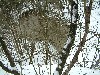 n_dscf0185.jpg