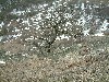 n_dscf0195.jpg