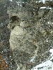 n_dscf0199.jpg