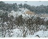 n_dscf0157.jpg