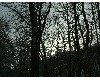 n_dscf0165.jpg