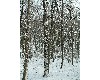 n_dscf0166.jpg