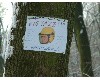 n_dscf0167.jpg