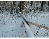 n_dscf0168.jpg