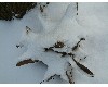n_dscf0171.jpg