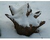 n_dscf0172.jpg