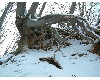 n_dscf0175.jpg