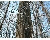 n_dscf0176.jpg