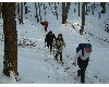 n_dscf0177.jpg
