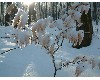 n_dscf0185.jpg
