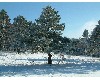 n_dscf0188.jpg