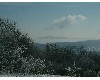 n_dscf0197.jpg