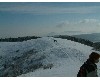 n_dscf0207.jpg