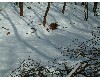 n_dscf0220.jpg
