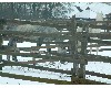 n_dscf0222.jpg