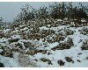 n_dscf0237.jpg
