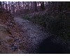 n_dscf0004.jpg