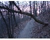 n_dscf0005.jpg