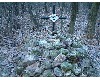 n_dscf0009.jpg