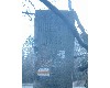 n_dscf0010.jpg