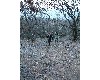 n_dscf0013.jpg