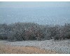 n_dscf0017.jpg