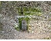 n_dscf0058.jpg