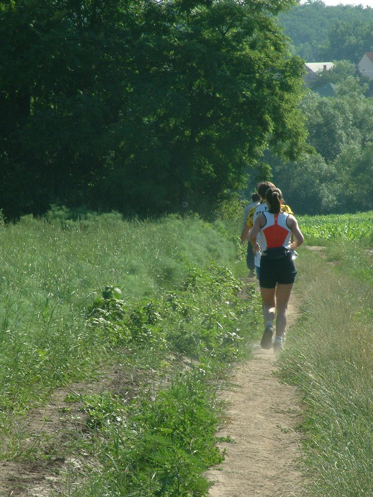DSCF0008.JPG