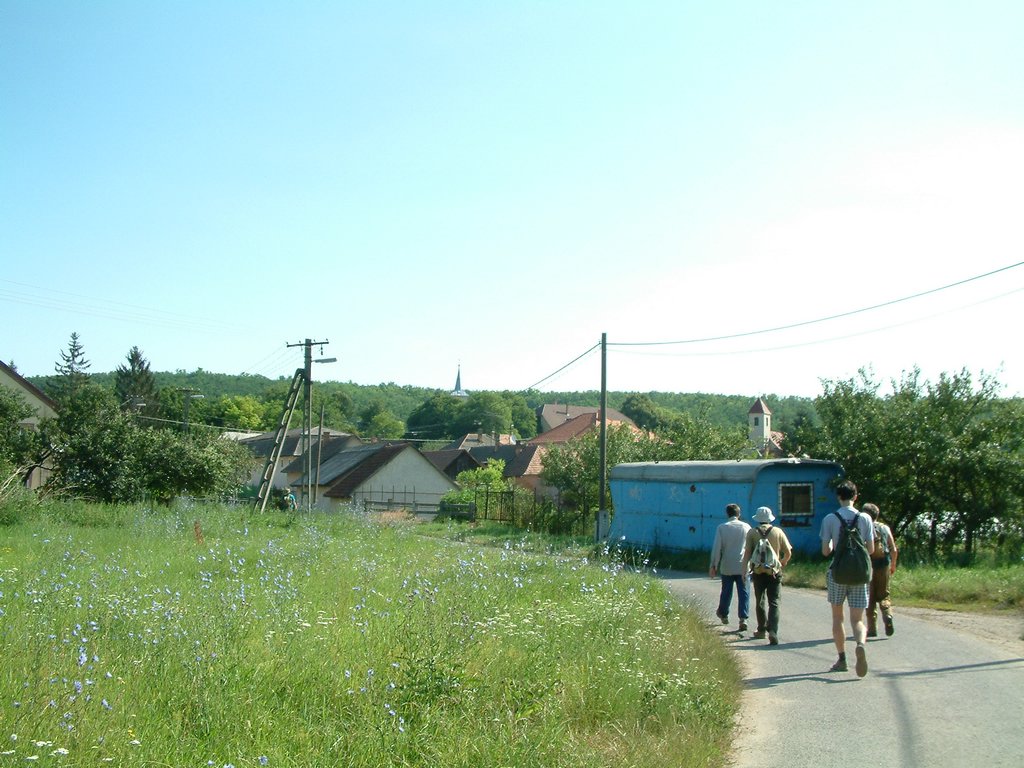 DSCF0009.JPG