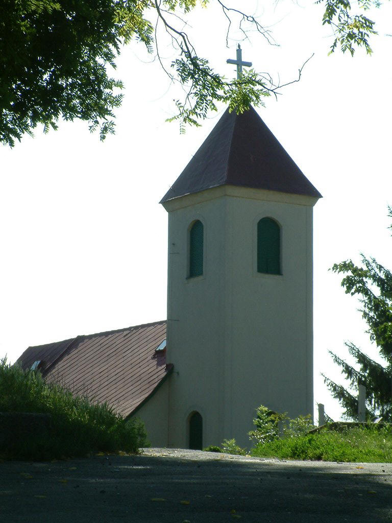 DSCF0011.JPG
