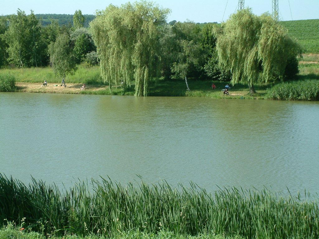 DSCF0013.JPG