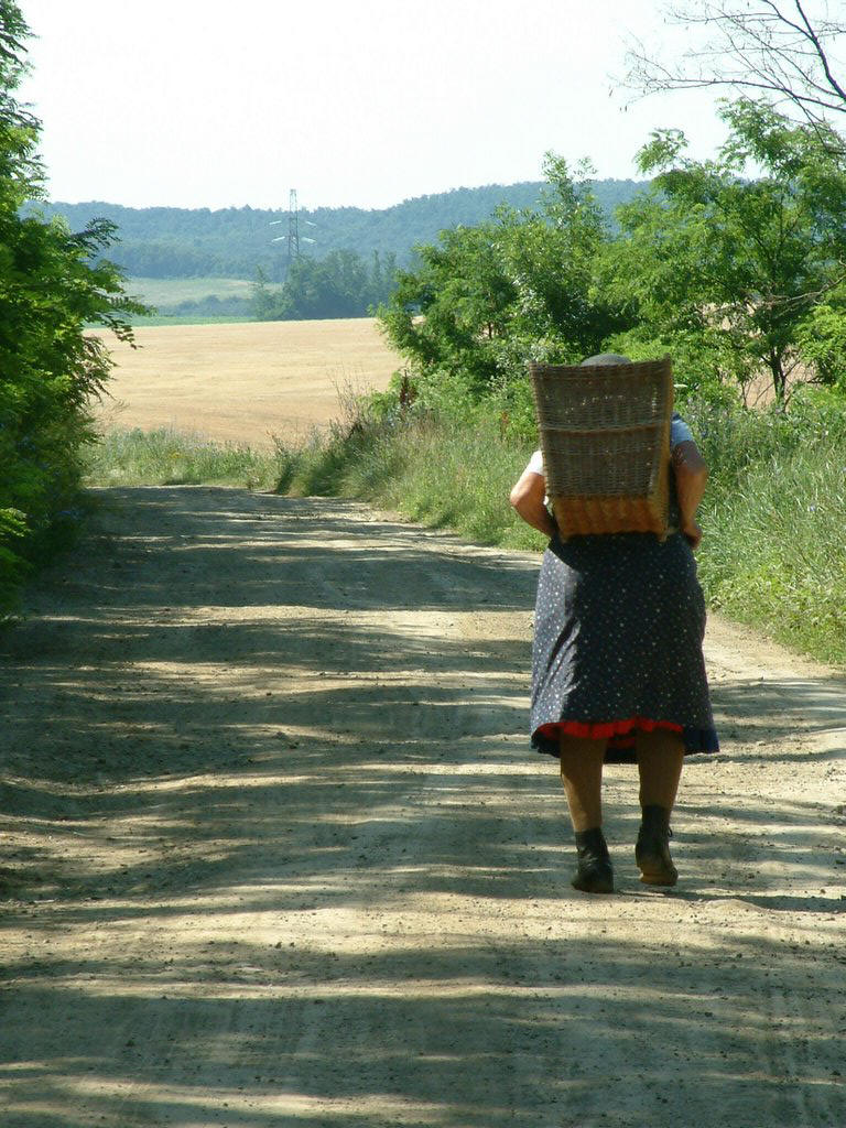 DSCF0017.JPG