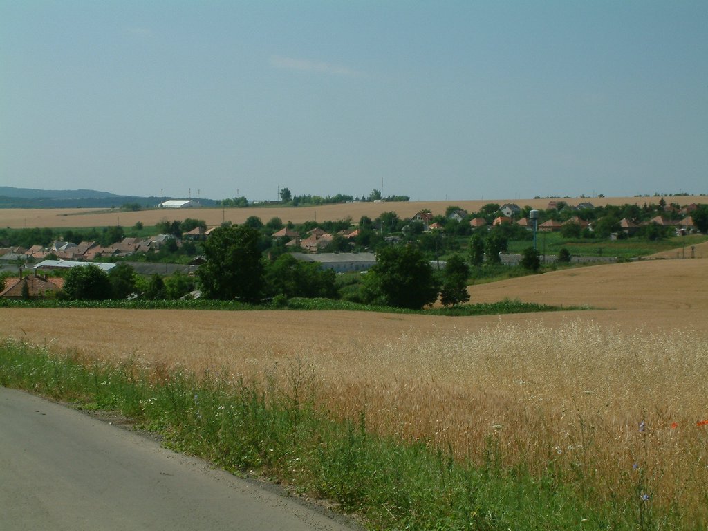 DSCF0022.JPG