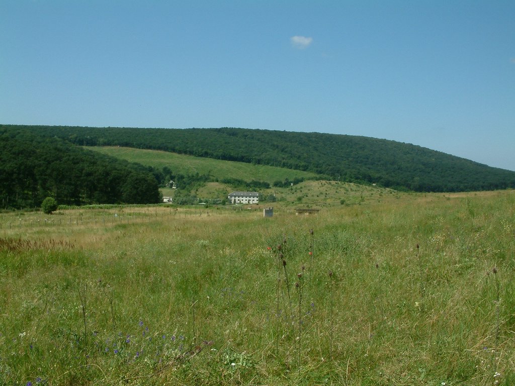 DSCF0026.JPG