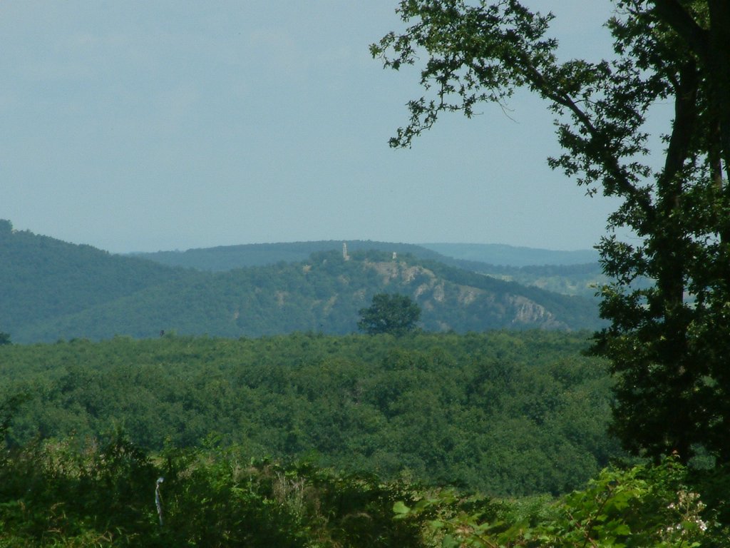 DSCF0027.JPG