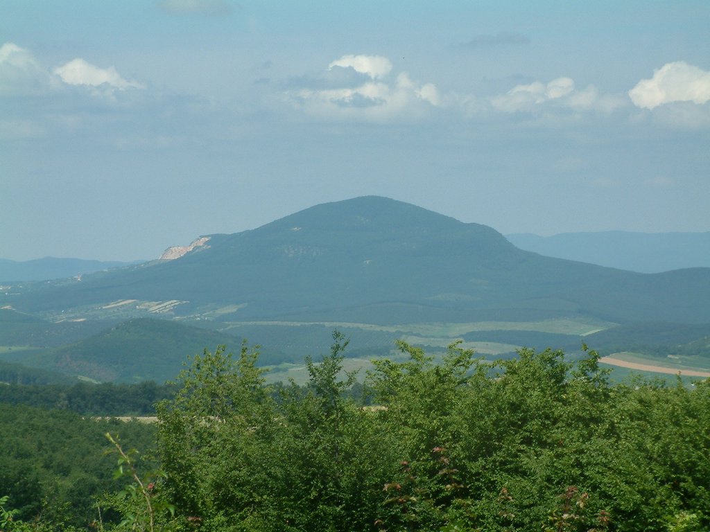 DSCF0038.JPG