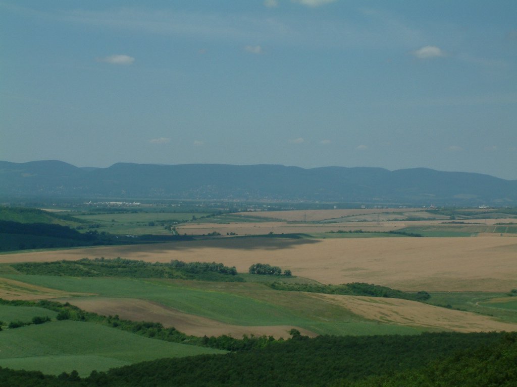 DSCF0043.JPG