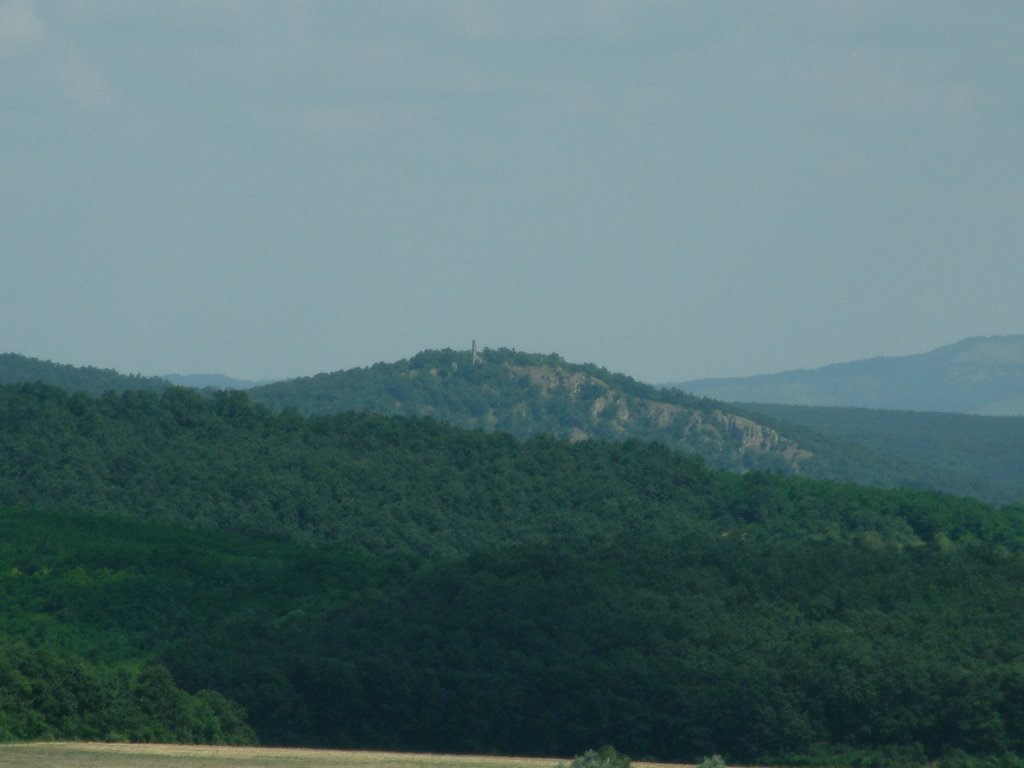 DSCF0051.JPG